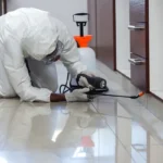 benefits-of-professional-pest-control-services