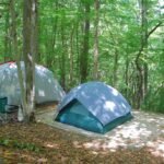 essential-tips-to-prepare-for-your-next-camping-trip