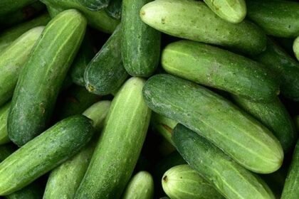 health-benefits-of-eating-cucumber
