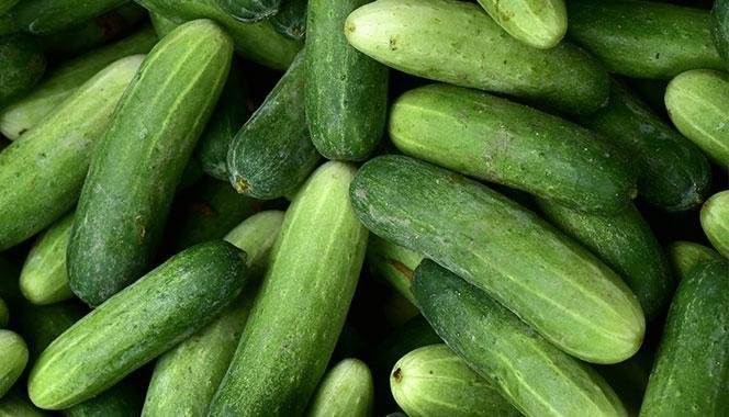 health-benefits-of-eating-cucumber