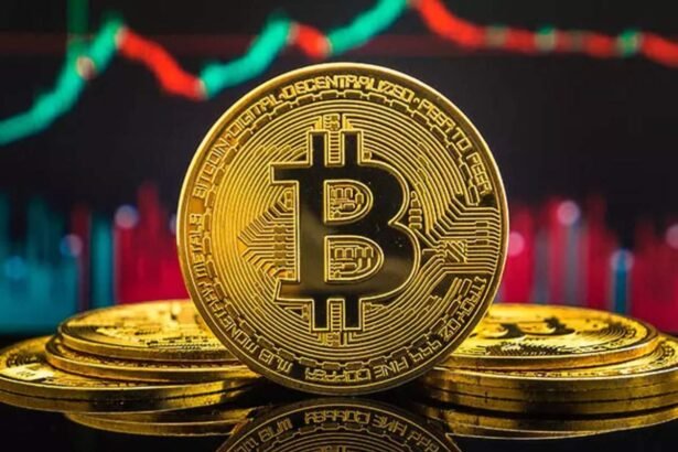 mobius-capital-founder-explains-why-bitcoin-is-rallying-amid-russia-ukraine-war