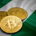 Nigerian-Agencies-Told-to-Stop-Demonizing-Crypto-Industry-Players