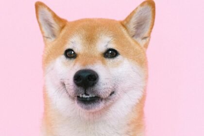 Shiba-Inu-Presents-SHIB-Metaverse-With-Over-100K-Land-Plots