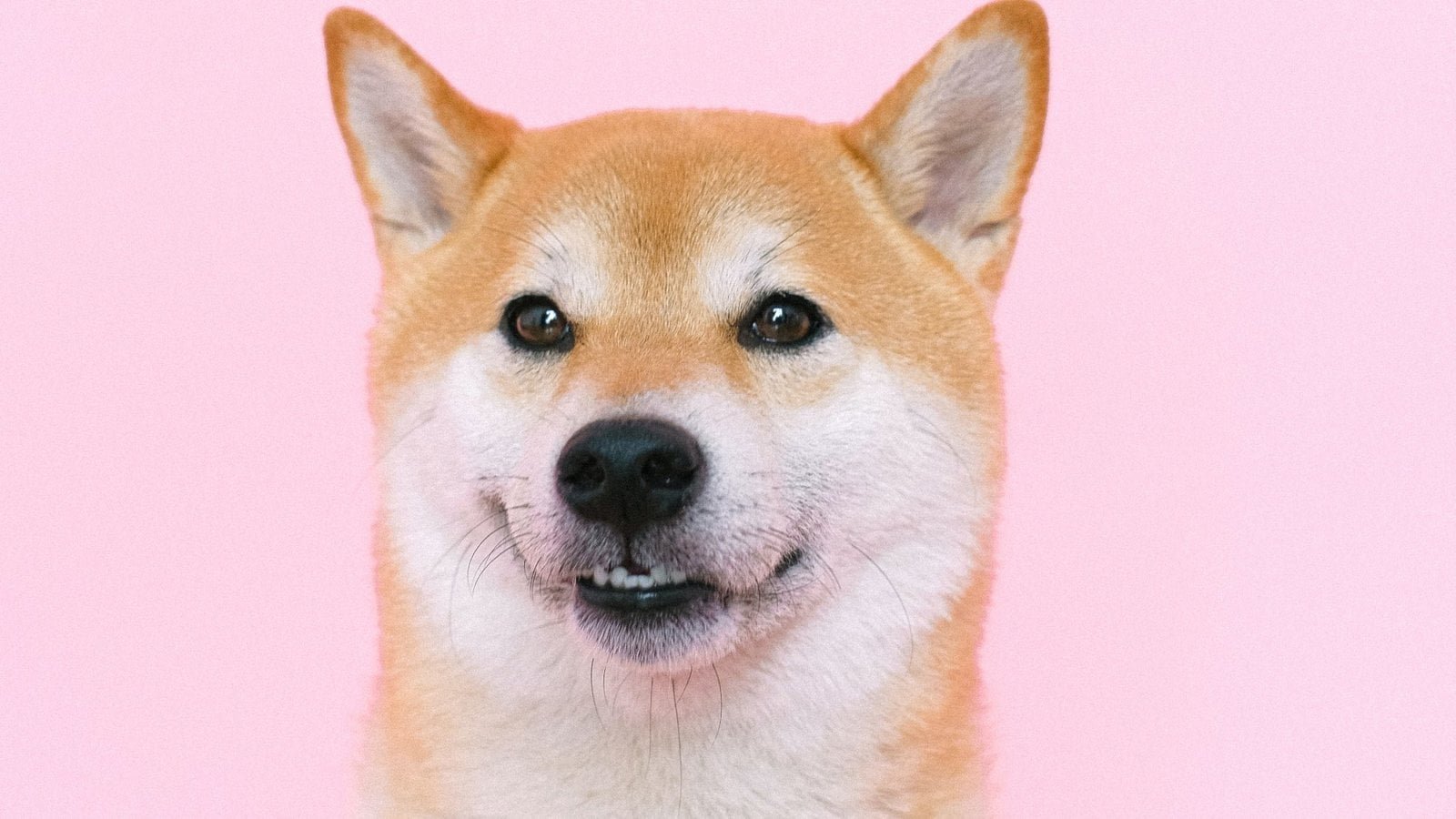 Shiba-Inu-Presents-SHIB-Metaverse-With-Over-100K-Land-Plots