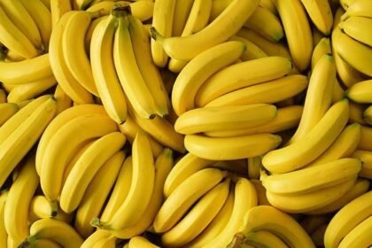 top-essential-health-benefits-of-bananas