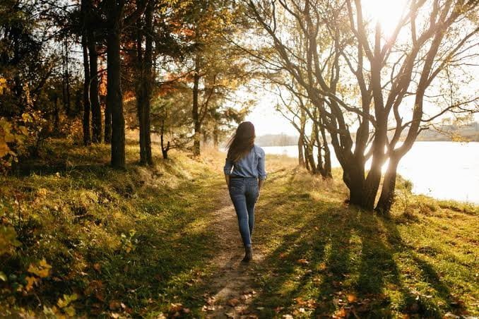 The-Benefits-of-Nature-Walks-for-Mental-and-Physical-Health