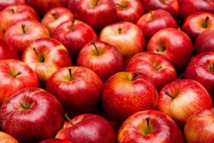 essential-health-benefits-of-eating-apples